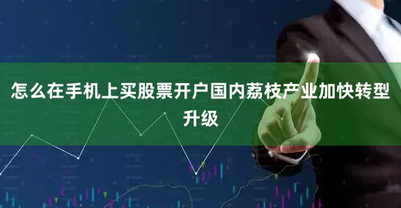 怎么在手机上买股票开户国内荔枝产业加快转型升级