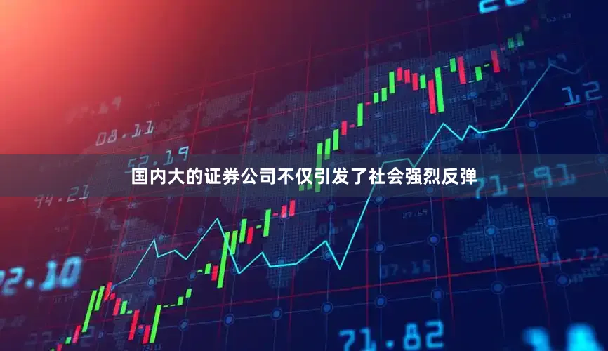 国内大的证券公司不仅引发了社会强烈反弹
